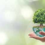 بحث حول المحافظة على البيئة