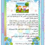المحافظة على البيئة