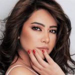 شيرين تلاحق مدير صفحاتها الإلكترونية: سرق اسراري وكلمات المرور